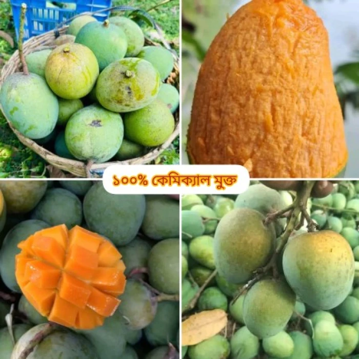 30 কেজি গোবিন্দভোগ আম 130 টাকা করে 3900 টাকা