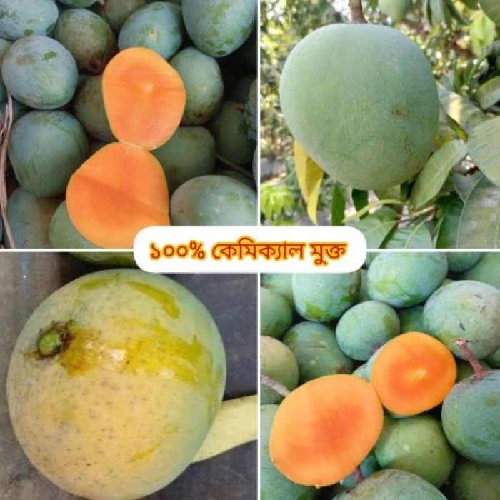 10 কেজি গোবিন্দভোগ আম 150 টাকা করে 1500 টাকা